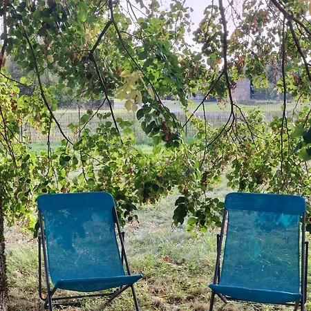 Holiday home 6 Pers Avec Chemins De Randonnee Et Station Thermale A Proximite - Fr-1-589-631