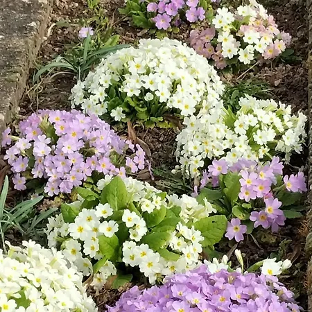 Holiday home 6 Pers Avec Chemins De Randonnee Et Station Thermale A Proximite - Fr-1-589-631 *