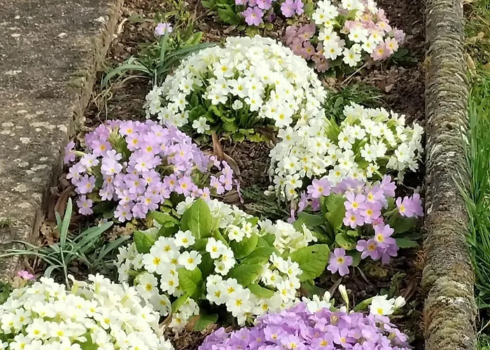 Holiday home 6 Pers Avec Chemins De Randonnee Et Station Thermale A Proximite - Fr-1-589-631 *