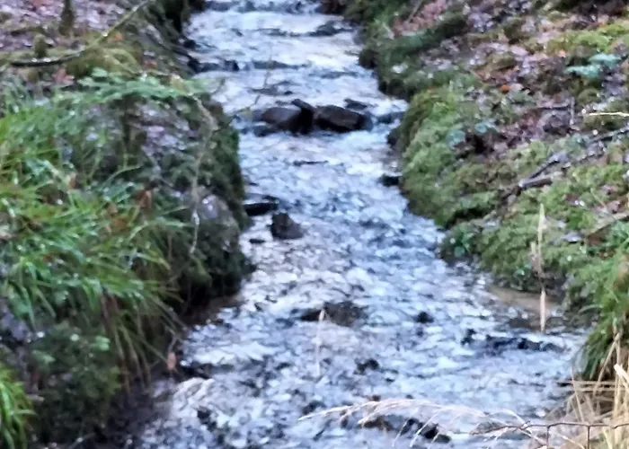 6 Pers Avec Chemins De Randonnee Et Station Thermale A Proximite - Fr-1-589-631