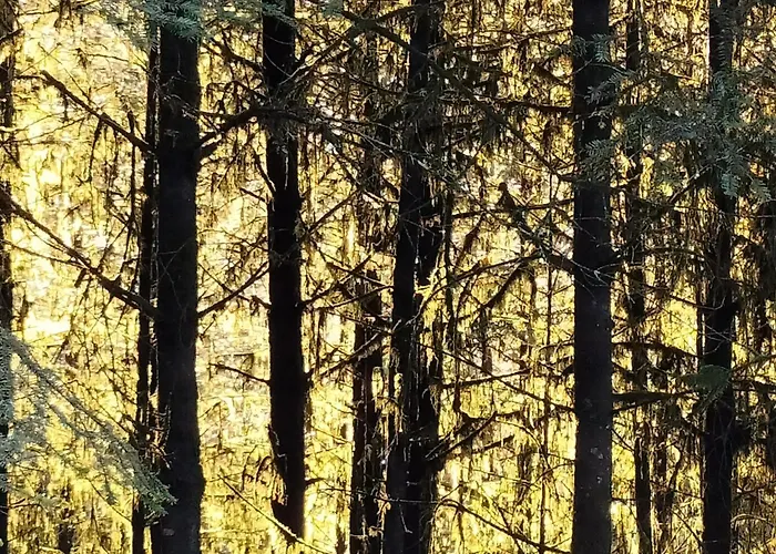 6 Pers Avec Chemins De Randonnee Et Station Thermale A Proximite - Fr-1-589-631 Holiday home