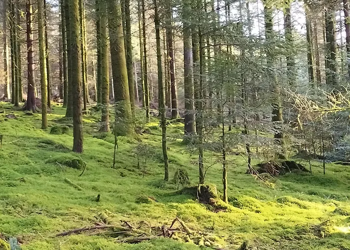 Holiday home 6 Pers Avec Chemins De Randonnee Et Station Thermale A Proximite - Fr-1-589-631